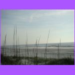 Beach 2.jpg